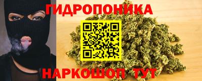 дмт Кандалакша