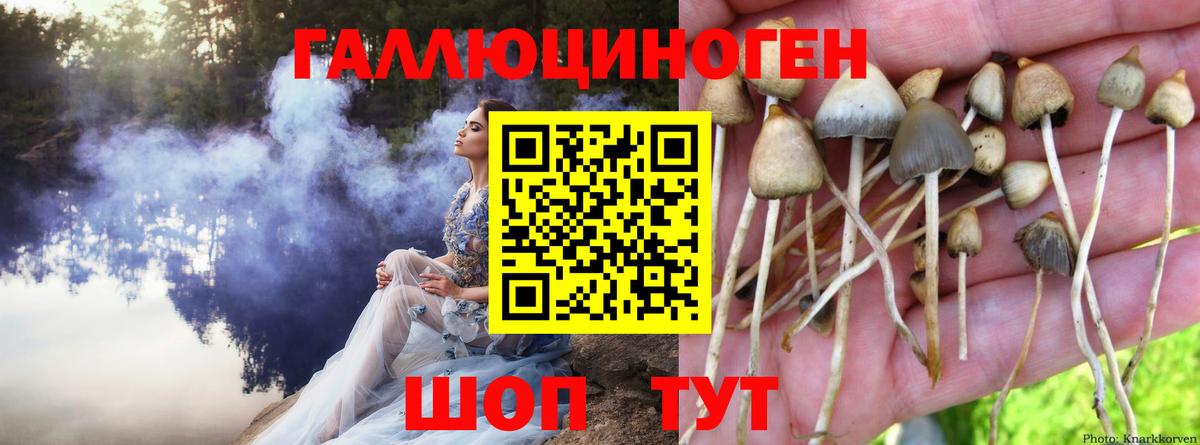 Галлюциногенные грибы мухоморы Энгельс