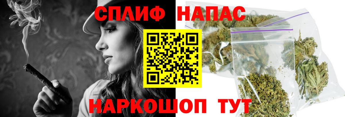 Бошки Шишки план Энгельс
